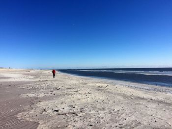 Rear view of man standing at beach