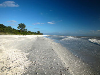 Scenic view of beach against blue sky