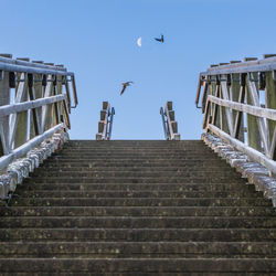 Low angle view of birds flying against sky