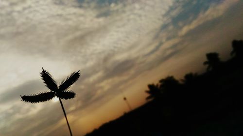 Low angle view of silhouette plants against sky at sunset