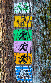 Close-up of graffiti on tree trunk