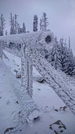 Snow covered land by trees against sky
