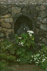 Stone wall of old building