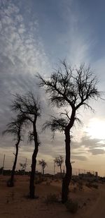 Silhouette bare tree on field against sky at sunset