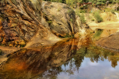 Reflection of trees in water