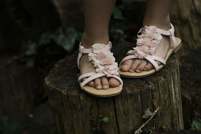 Low section of girl wearing floral sandals standing on tree stump