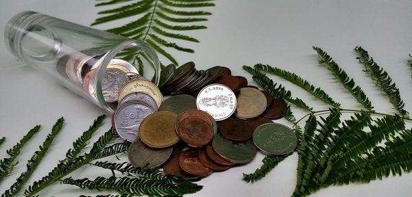 High angle view of coins on table