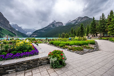 Beautiful flower beds against lake, pine tree forest, mountains and cloudy overcast summer sky