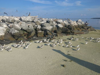 Panoramic view of people on beach against sky