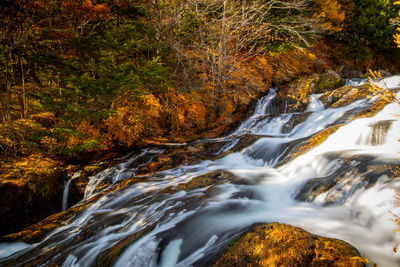 Stream flowing through rocks in forest during autumn