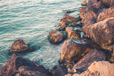 High angle view of rock formation in sea