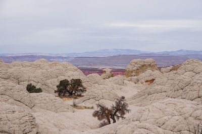 Scenic view of desert against sky