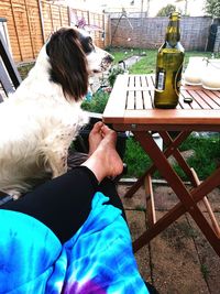 Rear view of woman with dog sitting on chair