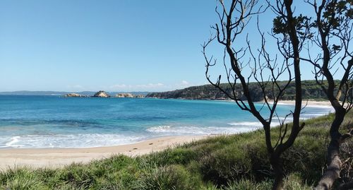 Scenic view of sea against clear blue sky