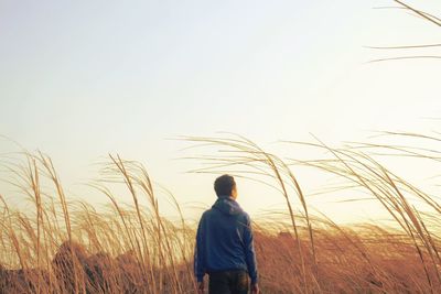 Rear view of man looking at field against sky