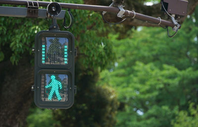 Pedestrian traffic light