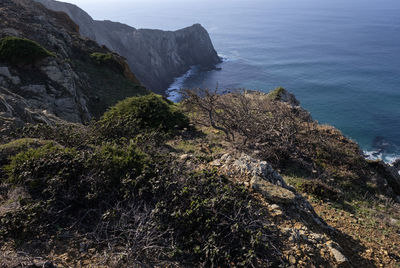 Scenic view of sea against sky