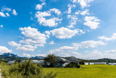 Scenic view of field by houses against sky