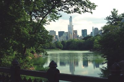 Rear view of people sitting in park