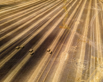 Tractors just cleared the thick grown wheat grass to turn the harvest into bales on a wisconsin farm