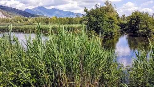 Scenic view of lake against sky