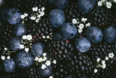 Full frame shot of fruits