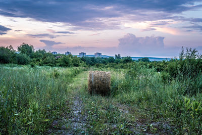 Scenic view of field against sky during sunset