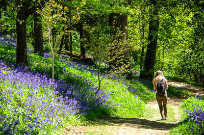 Rear view of woman on flowering plants in forest