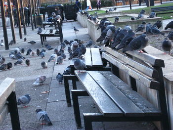 High angle view of stones