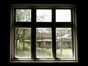 Trees seen through glass window