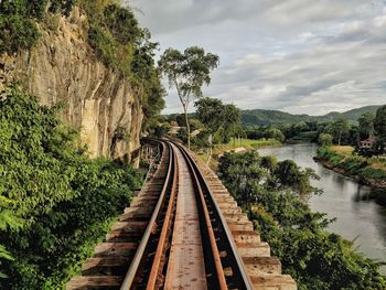 Railroad tracks amidst trees against sky