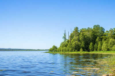 Scenic view of lake against clear blue sky