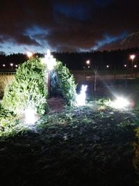 Illuminated trees against sky at night