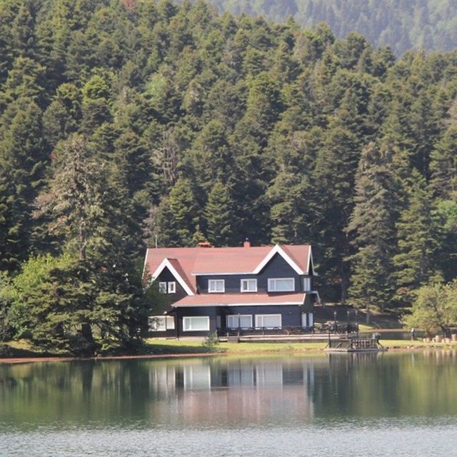 tree, architecture, water, built structure, building exterior, waterfront, reflection, lake, house, river, nature, growth, residential structure, residential building, day, tranquility, outdoors, beauty in nature, no people, tranquil scene