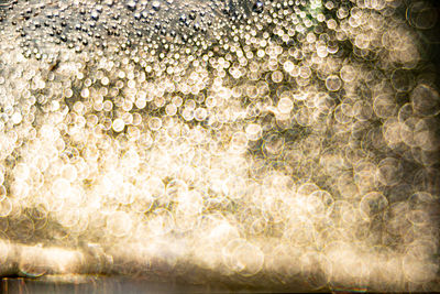 light