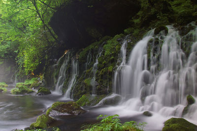 Scenic view of waterfall in forest