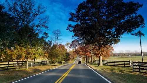 Empty road amidst trees against sky