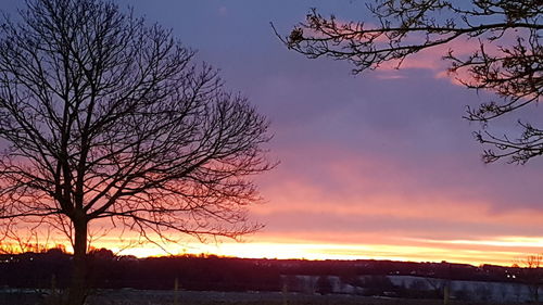 Silhouette bare tree on field against romantic sky at sunset