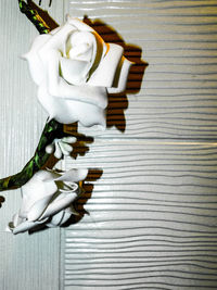 Close-up of paper