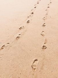 High angle view of footprints on sand at beach