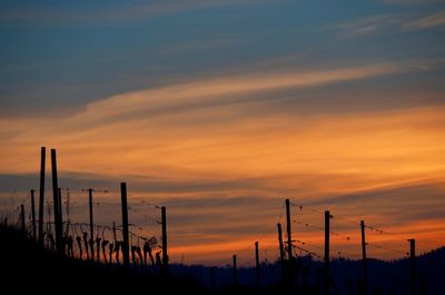 Silhouette wooden posts on field against orange sky