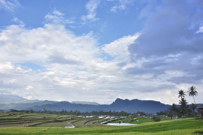 Scenic view of landscape against sky
