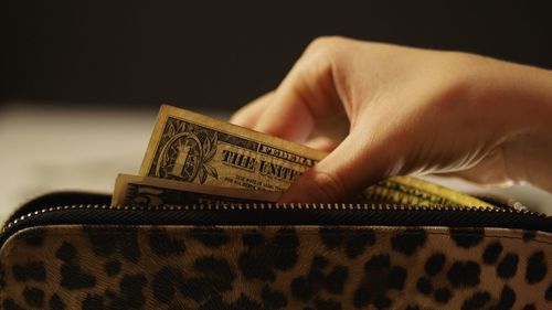 Close-up of hand holding paper currency in purse