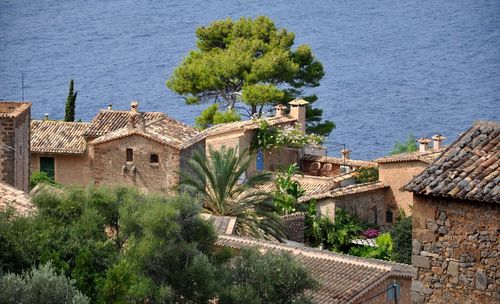 High angle view of trees by sea