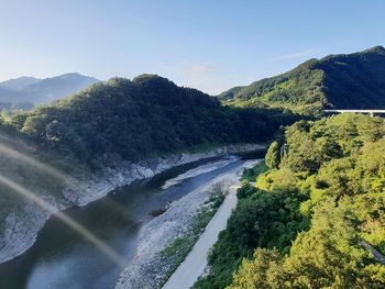 Scenic view of river amidst trees against sky