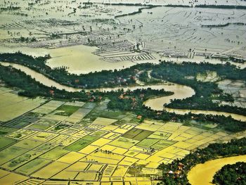 Aerial view of agricultural landscape