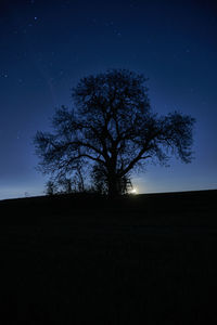Silhouette tree on field against sky at night