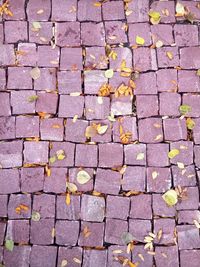 High angle view of cobblestone street