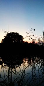 Silhouette plants by lake against sky at sunset