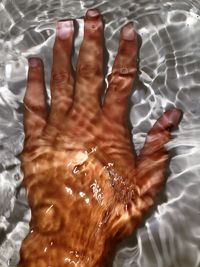 High angle view of hands in water